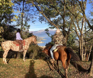 Acquista la tua esperienza da vivere sul Lago di Garda - Experience Garda